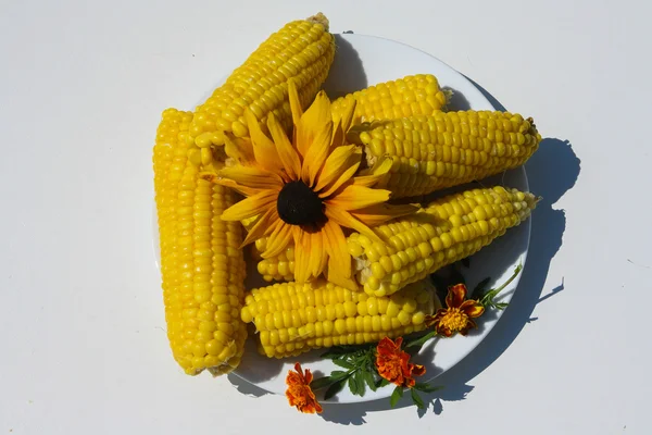 sarı mısır kulakları beyaz bir plaka üzerinde yatıyordu