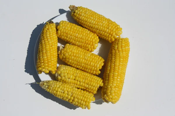 sarı mısır kulakları beyaz bir plaka üzerinde yatıyordu