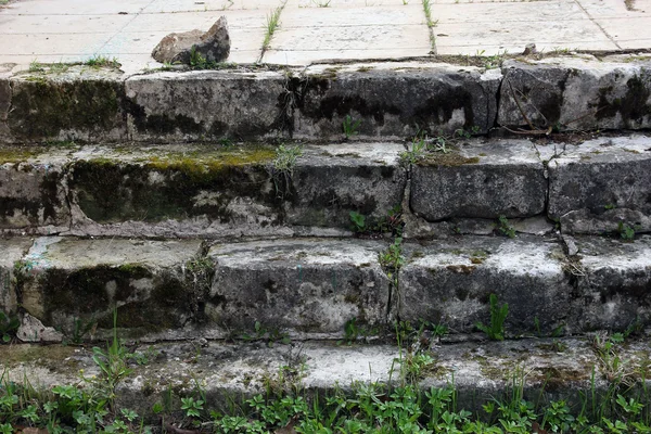 Old medieval grey stone steps of the orthodox church covered wit — Stock Photo, Image