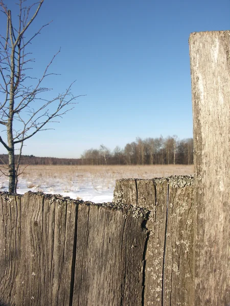 Valla de madera vieja de tablas de primer plano con nieve en la parte superior y el invierno —  Fotos de Stock