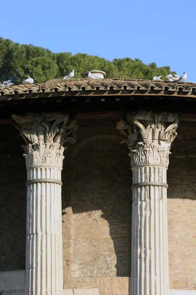 Roman Temple of Hercules Victor in Forum Boarium in Rome, Italy — Stock Photo, Image