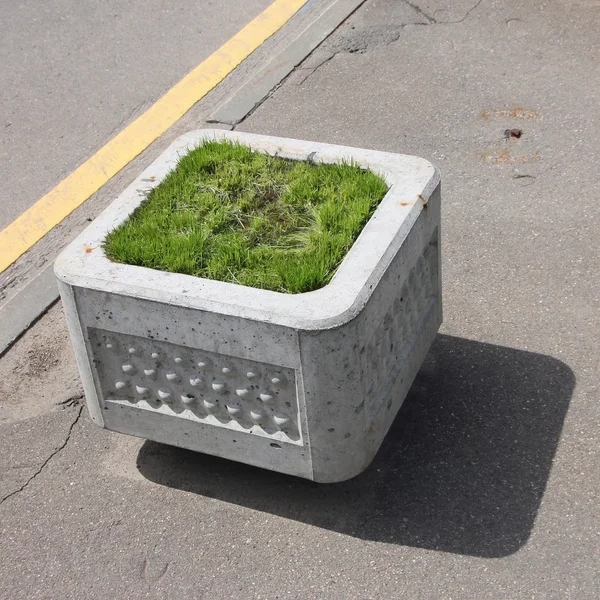 kare gri beton Çiçeklik yeşil çim St ile