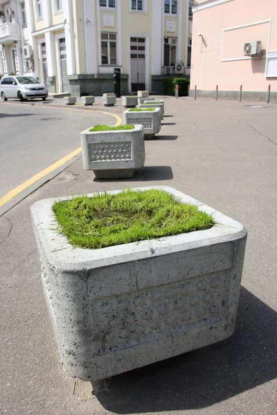 kare gri beton çiçek yatak yeşil çim ile dizi