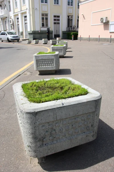 Zakres kwadrat szary beton klomby z zielonej trawy w nim Obraz Stockowy