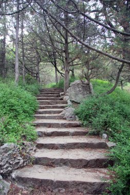 Güzel eski taş merdivenle doğal kalker taşlı adımlar