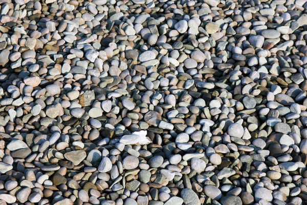 Consistenza di bei ciottoli di mare rotondi colorati asciutti su bea di ciottoli — Foto Stock