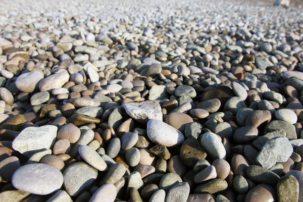 美しいドライの斜視ラウンド p 色の海の小石 — ストック写真