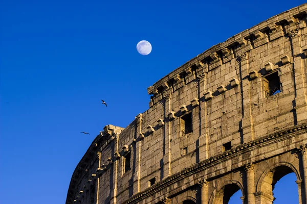 Colloseum Roma, İtalya — Stok fotoğraf