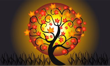 Kamera objektifi çekim