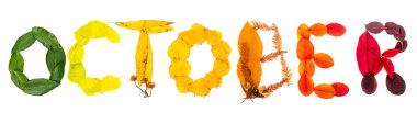 October word made from leaves isolated on white background