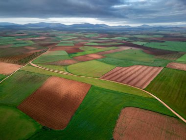 İspanya 'nın orta kesimindeki Consuegra tarafındaki küçük tarlaların havadan görünüşü. Çeşitli ekinler ve zeytin bahçeleriyle tarım yaması.