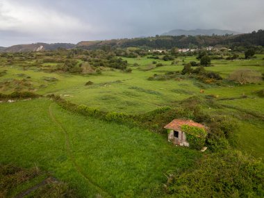 Kuzey İspanya 'da yeşil otlağın ortasında terk edilmiş eski bir ev..