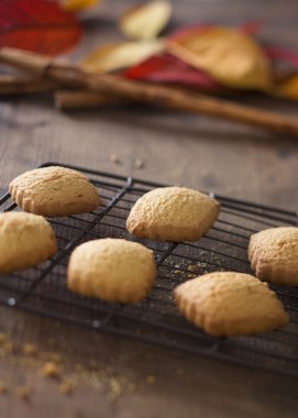 Natürmort, kılavuz, üst üste altı ev yapımı kurabiye sonbahar yaprakları ve tarçın arka planda