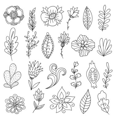 Soyut çiçek ve bitki vektör kümesi renkli