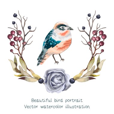 Vektör beautifyl kuş portre dalları ile,