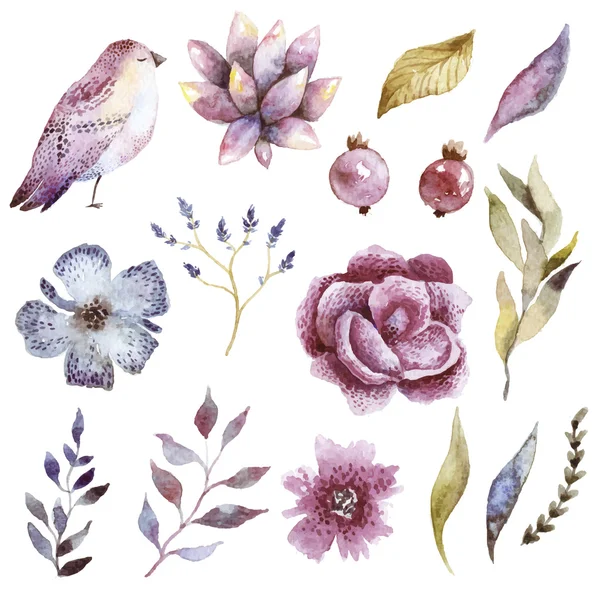 Floral watercolor set with bird — Stock Vector