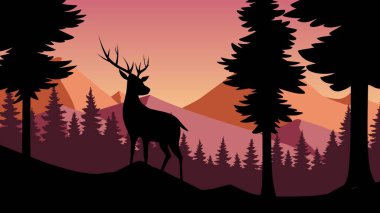 Çam ormanında geyikli vahşi yaşam çizimi. Geyik ve sakin kozalaklı ormanlı doğal hayat. Panoramik orman ve geyik silueti vektör çizimi
