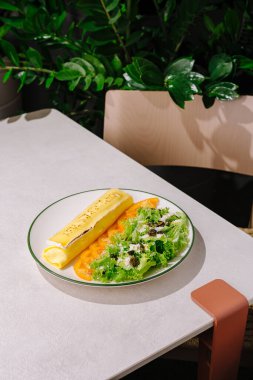 İyi sunulmuş bir tabak taze yeşillikler ve dilimlenmiş domateslerin yanında yumuşacık bir omlet tutar, yemyeşil bitkilerle çevrili modern bir masada otururlar. Canlı renkler davetkar bir yemek yapıyor..