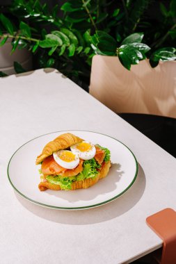Marul, domates ve haşlanmış yumurtalarla dolu bir kruvasan sandviçi basit beyaz bir tabakta oturur. Masada bir bitki arkaplanı var. Sahneye taze bir dokunuş katıyor..