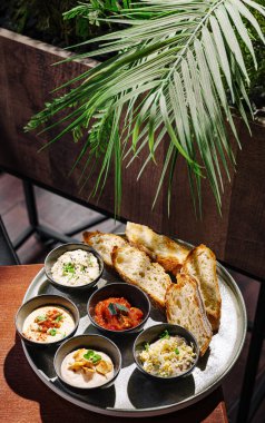 Kırsal bir tabakta çeşitli kremalı diplerin yanı sıra sıcak ekmek dilimleri bulunur. Bu ortam yeşillik içeriyor, rahatlatıcı bir atmosfer yaratmak yemekten zevk almak için mükemmel..