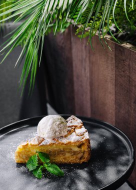 Bir dilim sıcak elmalı turta bir kepçe vanilyalı dondurmayla kaplı siyah bir tabakta oturur. Zarif bir şekilde taze nane yapraklarıyla süslenmiş, yemyeşil bir zemin ile çevrili..