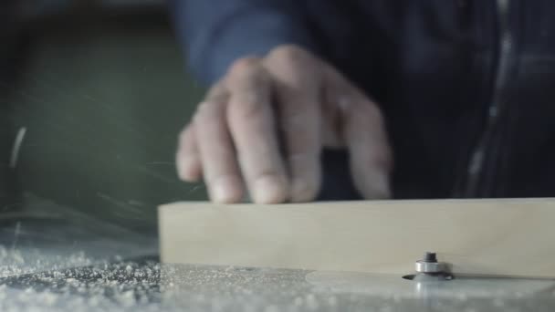 Hand of the Master Cutting Board on Woodworking Machines. — Stock Video