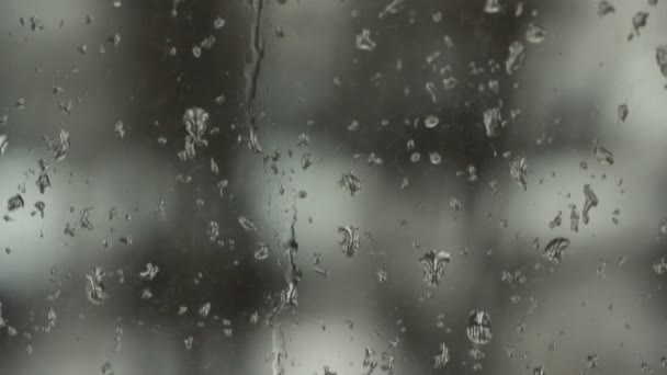 Drops on Glass — Stock Video