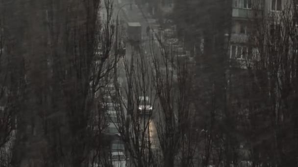 Дорожные транспортные средства среди деревьев в снежную погоду — стоковое видео