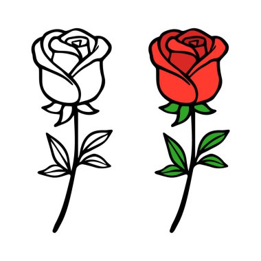 Beyaz Arkaplanda Vektör El Çizilmiş Gül Çiçeği