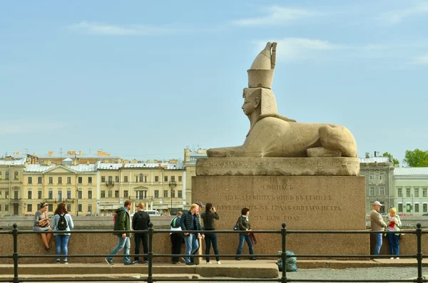 Statyn av Sfinxen på floden Neva. — Stockfoto