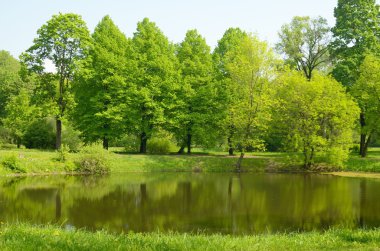 Doğal peyzaj Park City.