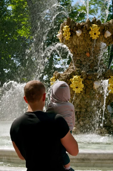 Fontän i sommarträdgård. — Stockfoto