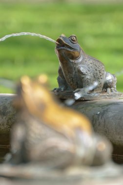 Kurbağalar çeşme bir parçası olarak.