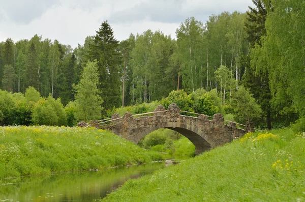 Die alte Brücke im Wald. — Stockfoto