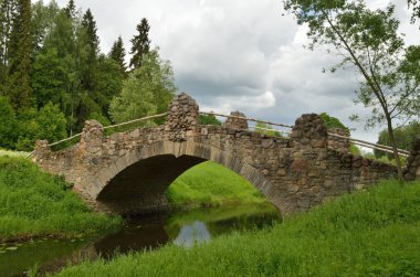 Eski köprünün ormanda.