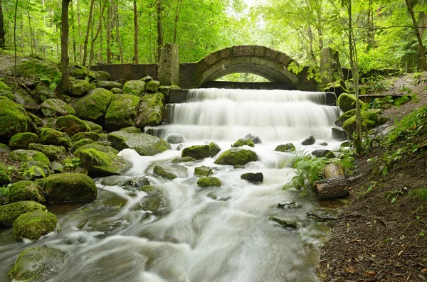 A quick flow of water. — Stock Photo, Image