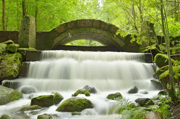 A quick flow of water. — Stock Photo, Image