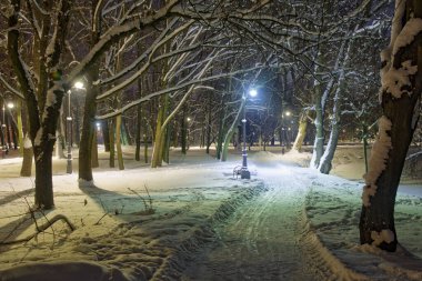 Şehir parkı geceleri elektrikle aydınlatılır. Kışın kar, elektrik ışığını yansıtır. Daha da aydınlanır..