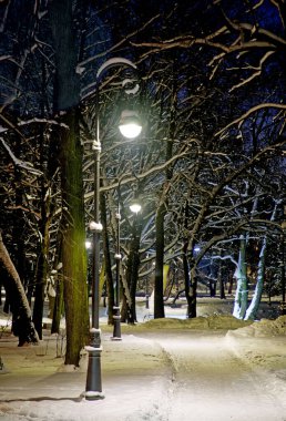 Şehir parkı geceleri elektrikle aydınlatılır. Kışın kar, elektrik ışığını yansıtır. Daha da aydınlanır..