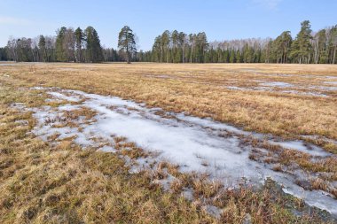 Baharın başlangıcıyla birlikte ısınan kar tarlada eriyor..