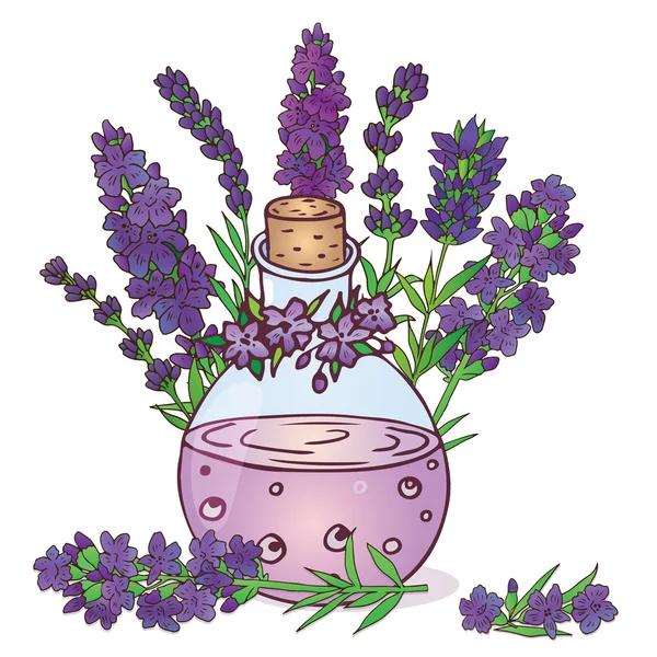 Flores de lavanda y aceite — Vector de stock