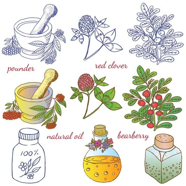 Illustration of different herbs and bottles — Stock Vector