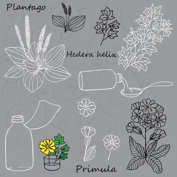 Vector hand- drawn set of medical plants and bottles — Stock Vector