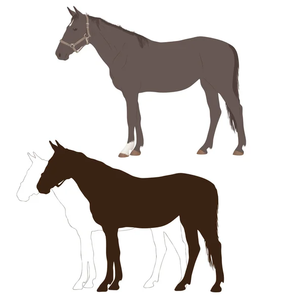 Ilustración vectorial de caballos — Archivo Imágenes Vectoriales