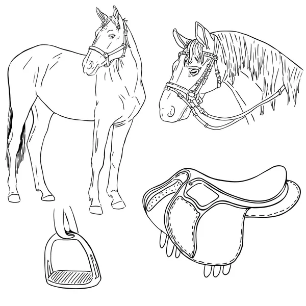 Mano vectorial ilustración dibujada de un caballo — Archivo Imágenes Vectoriales