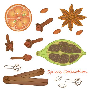 Portakal, karanfil, kakule, tarçın ve yıldız gösteren resim