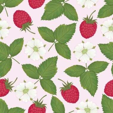 Ahududu meyveleri ve onun çiçekler ile Seamless Modeli