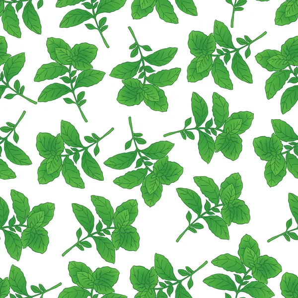 Naadloze patroon met groene basilicum — Stockvector