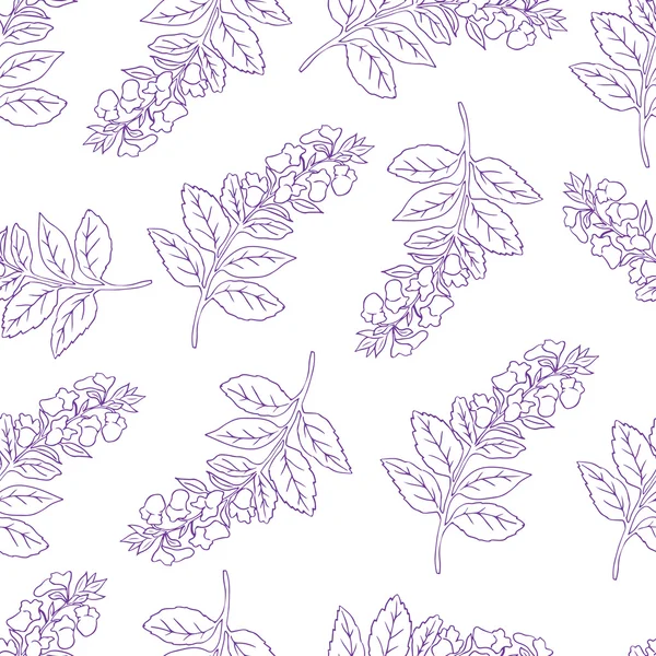 Nahtloses Muster mit violetten Basilikumkonturen — Stockvektor