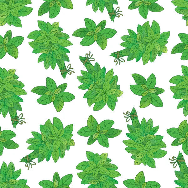 Naadloze patroon met groene basilicum — Stockvector
